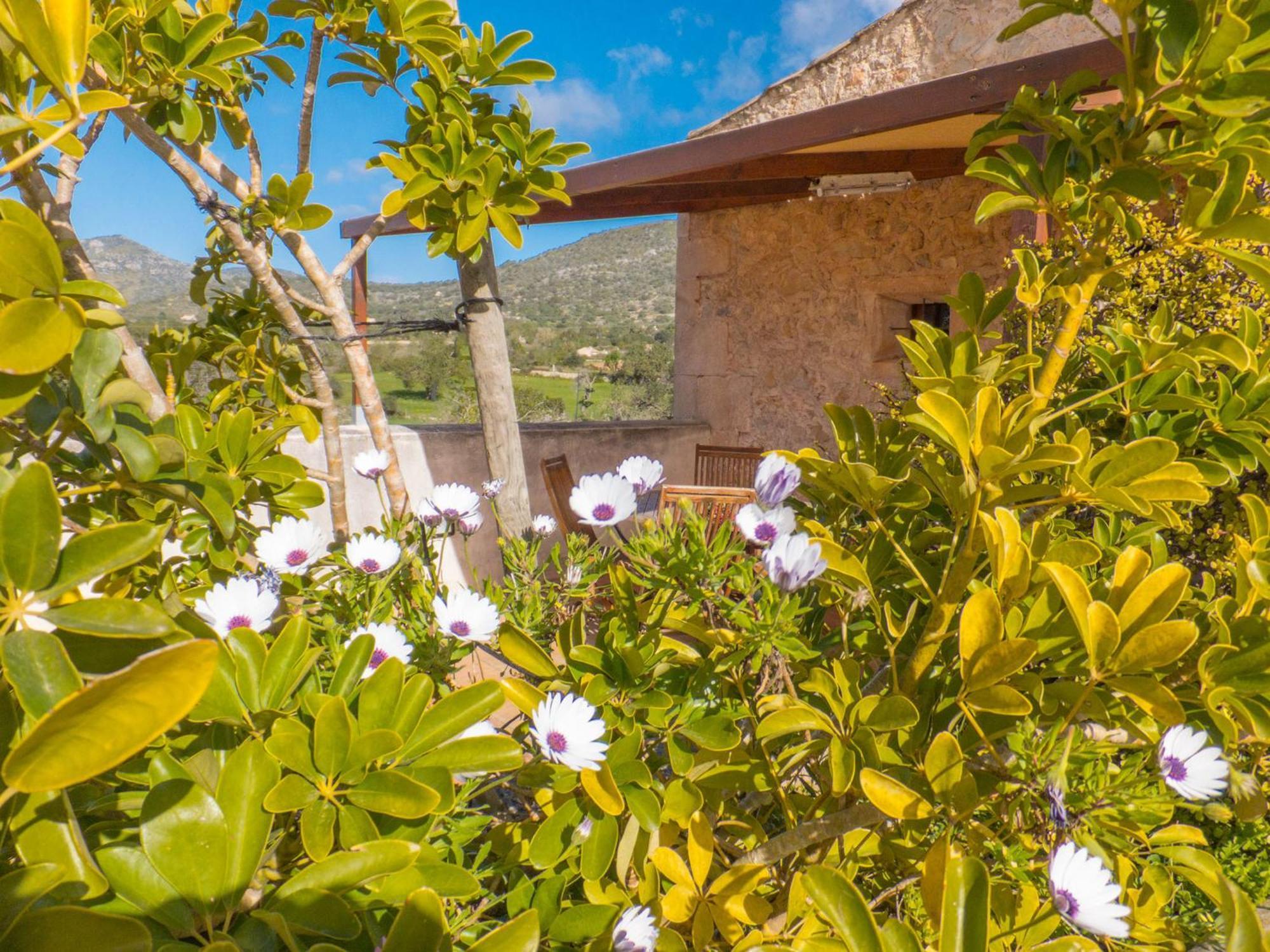 Finca Hotel Ses Cases Noves Sant Llorenc Des Cardassar Room photo
